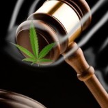 Is Marijuana Legal in California?