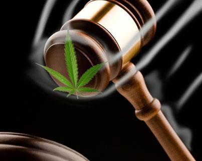 Is Marijuana Legal in California?
