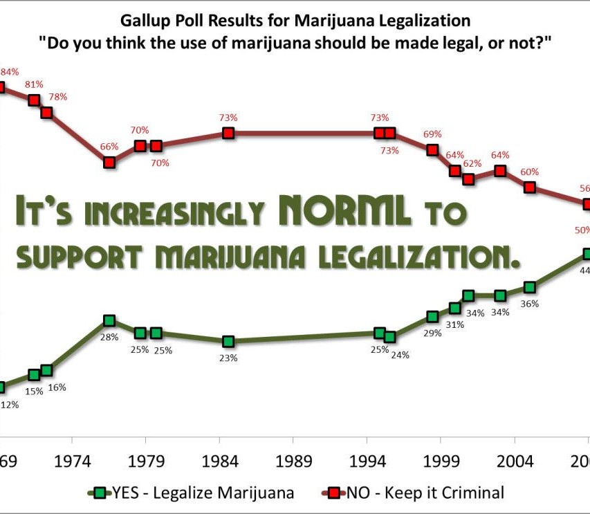 Legalization of marijuana synthesis