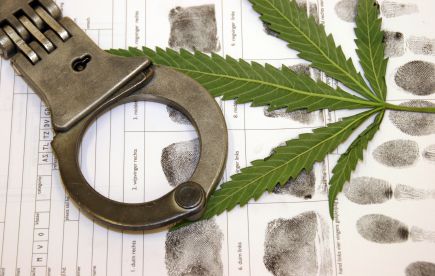 Marijuana Lawyer in California – Where to Look