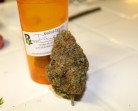 Pineapple Express Strain Review