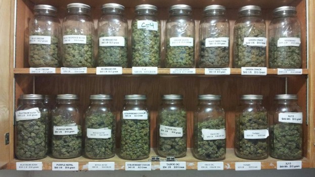 Santa Cruz Naturally Cannabis Dispensary Review