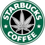 Ex-Microsoft exec plans to build the ‘Starbucks’ of marijuana