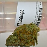 Chocolope Strain Review