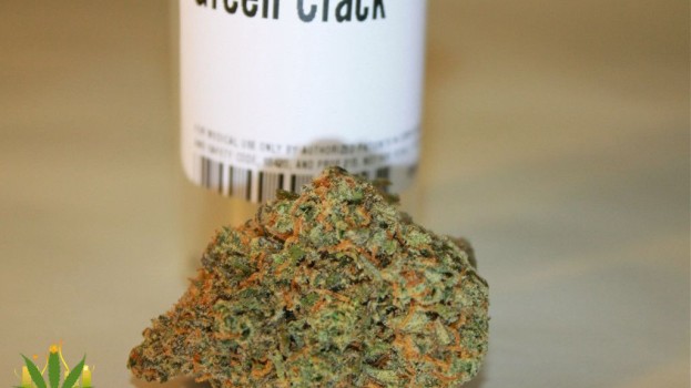 Green Crack Strain Review