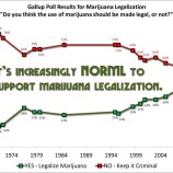 Legalization Of Marijuana – Pros and Cons