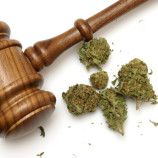 Marijuana Laws in California – The Facts