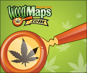 weed maps banner