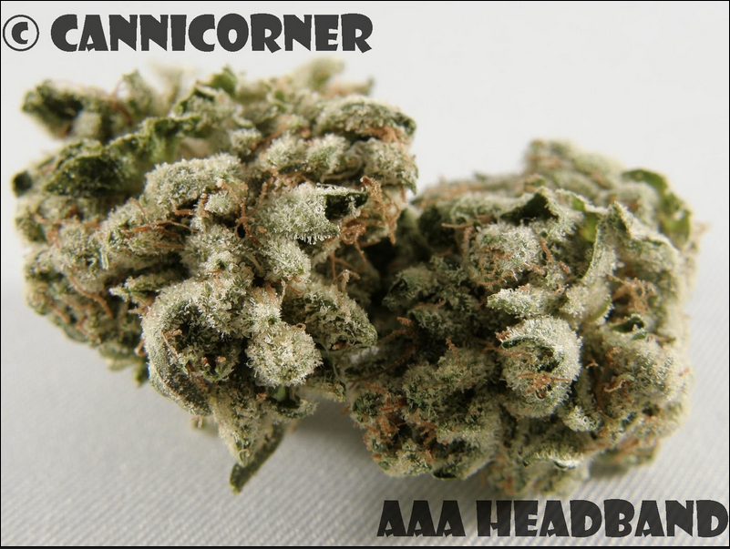 AAA Headband Marijuana Strain