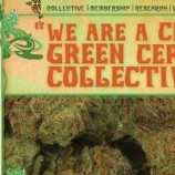 C.R.A.F.T Collective Review – Berkeley